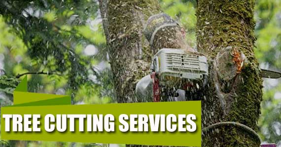 Tree Cutting Services