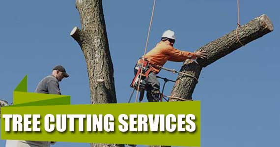 Tree Cutting Services