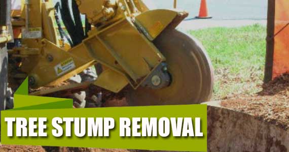 Tree Stump Removal