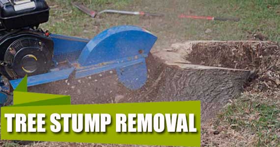 Tree Stump Removal