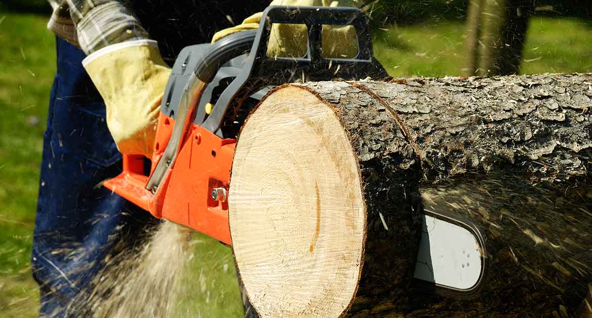 Slide Everything Tree Services